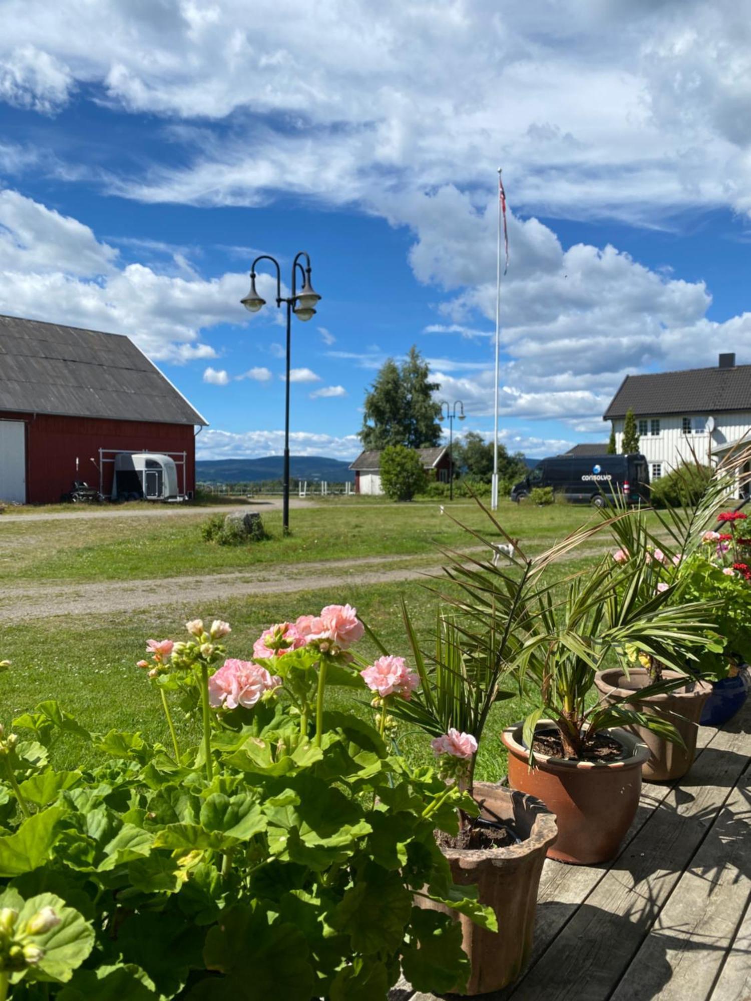 Villa Sundby Fjordhestgard Garder Esterno foto