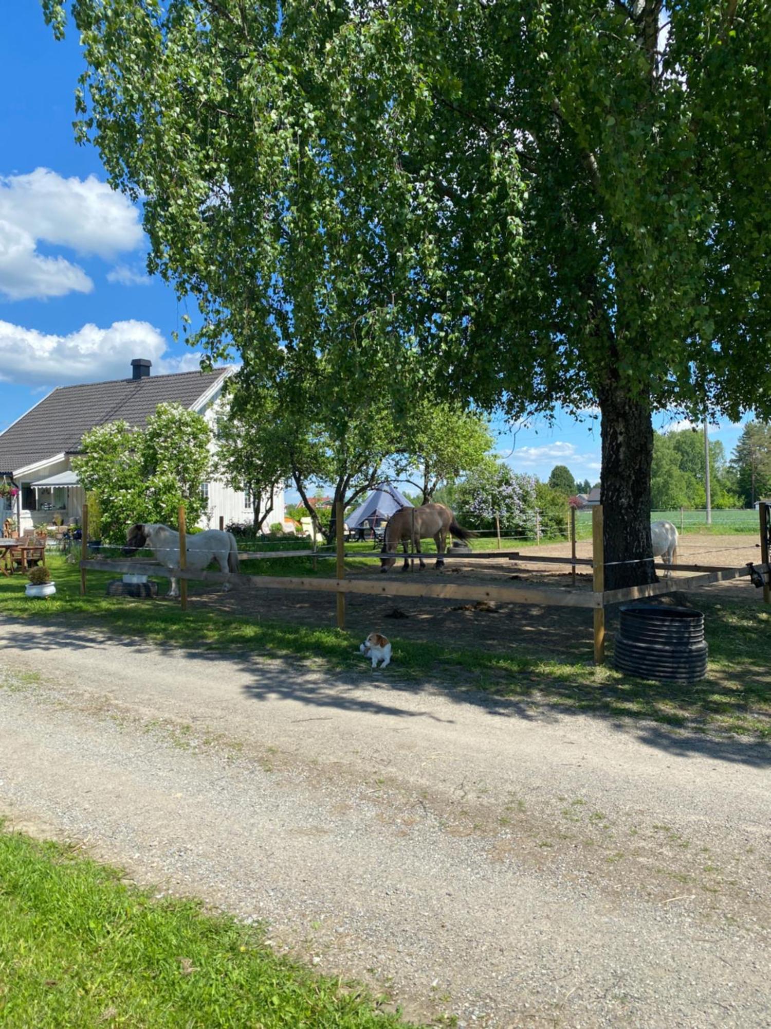 Villa Sundby Fjordhestgard Garder Esterno foto