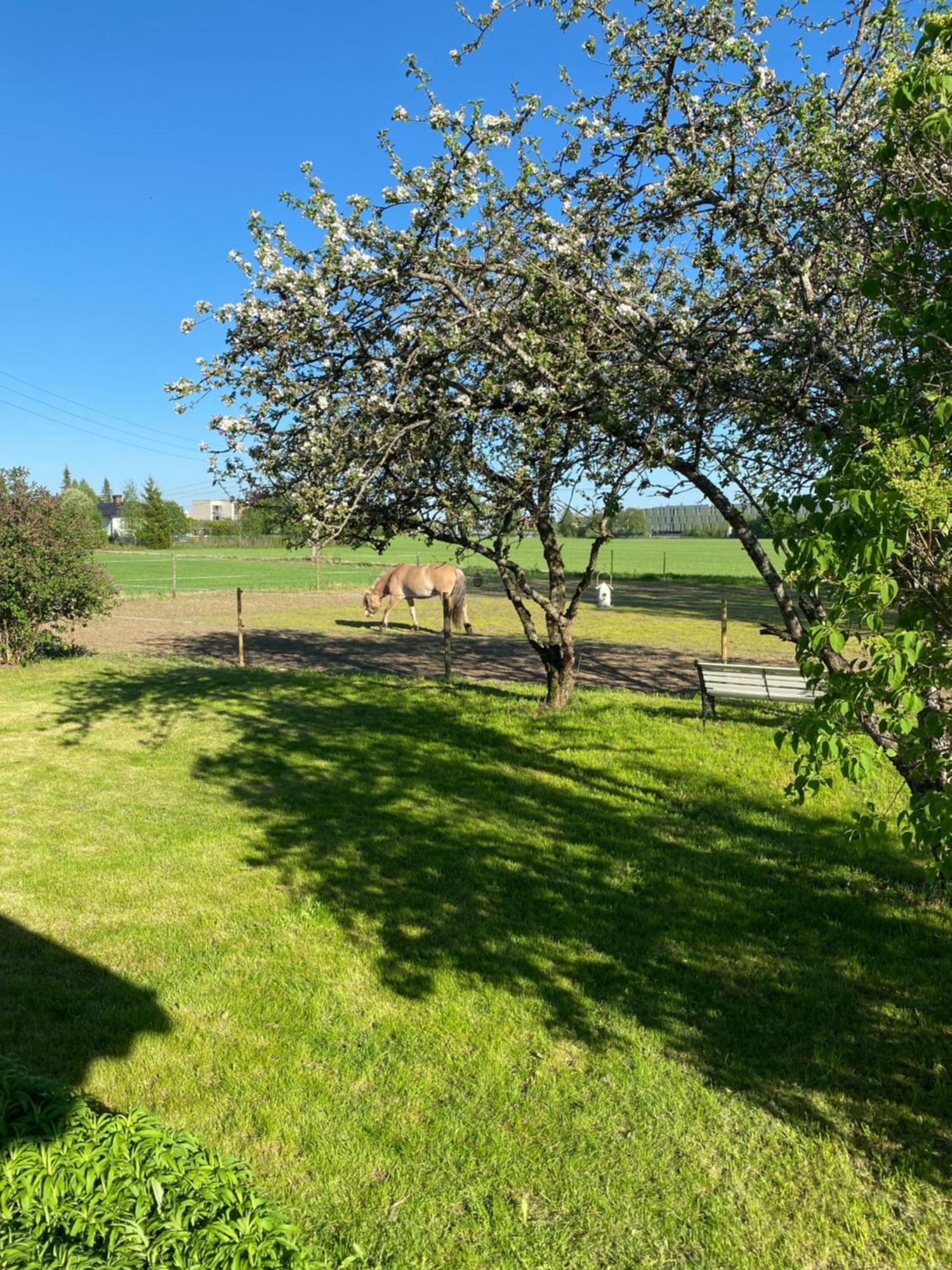 Villa Sundby Fjordhestgard Garder Esterno foto